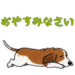 [LINEスタンプ] [おやすみなさい専用]バセットハウンド