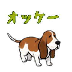 [LINEスタンプ] [オッケー専用]バセットハウンド
