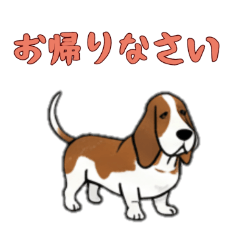 [LINEスタンプ] [お帰りなさい専用]バセットハウンド