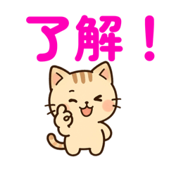 [LINEスタンプ] 【 ネコのスタンプ 日常で使えます 感謝 】