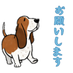 [LINEスタンプ] [お願いします専用]バセットハウンド