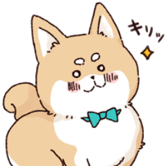 [LINEスタンプ] 気持ちが伝わりやすい柴犬