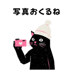 [LINEスタンプ] 白ニット帽の黒猫スタンプ VOL.2