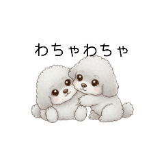 [LINEスタンプ] 双子ちゃんスタンプ（トイプードル）