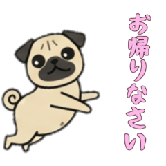 [LINEスタンプ] [お帰りなさい専用]パグパグ