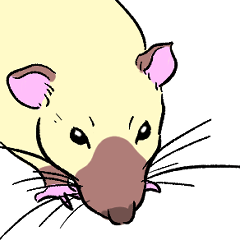 [LINEスタンプ] ファンシーラットたちのスタンプ