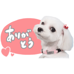 [LINEスタンプ] ポテトの日常1 by corinco
