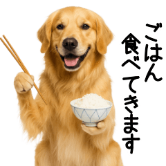 [LINEスタンプ] ゴールデンレトリバー★よく使うスタンプ♪