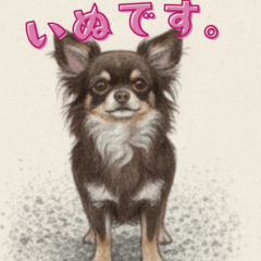[LINEスタンプ] 毎日使えるチョコタンチワワの日常スタンプ