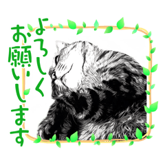 [LINEスタンプ] 猫ver2
