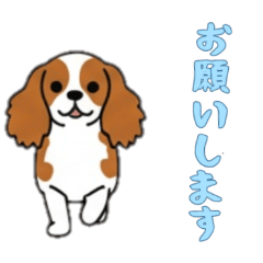 [LINEスタンプ] [お願いします専用]キャバリア