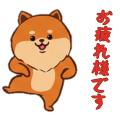 [LINEスタンプ] [お疲れ様です専用]ポメラニアン1