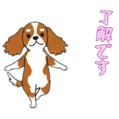 [LINEスタンプ] [了解です専用]キャバリア