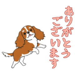 [LINEスタンプ] [ありがとうございます専用]キャバリア