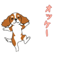 [LINEスタンプ] [オッケー専用]キャバリア
