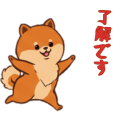 [LINEスタンプ] [了解です専用]ポメラニアン1