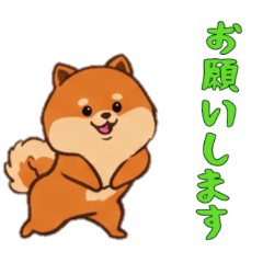 [LINEスタンプ] [お願いします専用]ポメラニアン1
