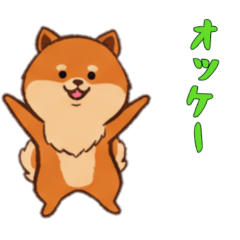 [LINEスタンプ] [オッケー専用]ポメラニアン1
