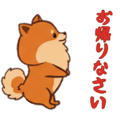 [LINEスタンプ] [お帰りなさい専用]ポメラニアン1