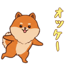 [LINEスタンプ] [オッケー専用]ポメラニアン2