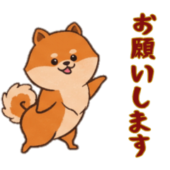 [LINEスタンプ] [お願いします専用]ポメラニアン2