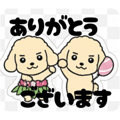 [LINEスタンプ] まるまるのわんこ