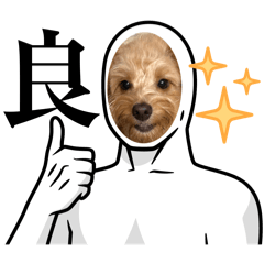 [LINEスタンプ] ティッシュ2025