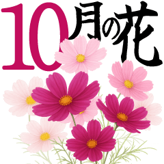 [LINEスタンプ] 10月 秋の花 大きくて見やすい挨拶スタンプ