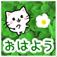 [LINEスタンプ] 動く☆大人やさしい野の花とネコ