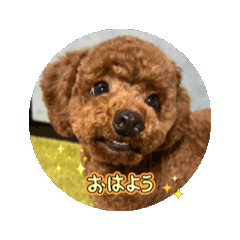 [LINEスタンプ] あろえのご挨拶