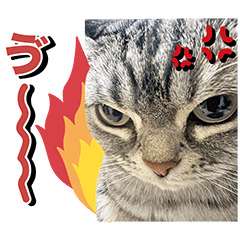 [LINEスタンプ] める884
