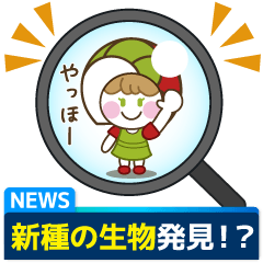 [LINEスタンプ] ミニマムCoCoちゃん