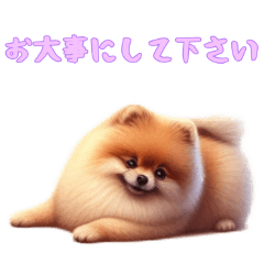 [LINEスタンプ] ポメラニアンと一緒の日常4