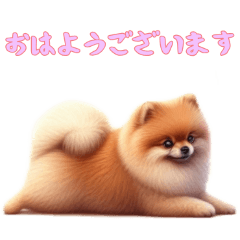 [LINEスタンプ] ポメラニアンと一緒の日常3
