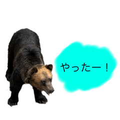 [LINEスタンプ] クマさんに代弁させた