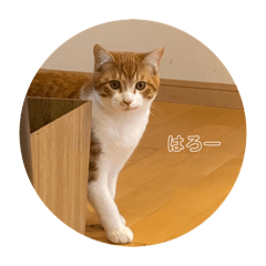 [LINEスタンプ] つな日常
