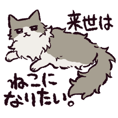 [LINEスタンプ] ノルウェージャンフォレストキャットです 2