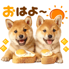 [LINEスタンプ] 毎日♡柴犬日和