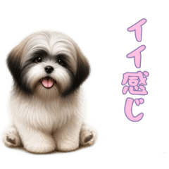 [LINEスタンプ] ラサアプソと一緒の日常