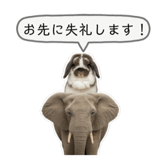 [LINEスタンプ] うさンプ:mochi（敬語）1