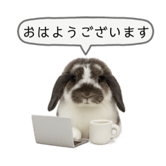 [LINEスタンプ] うさンプ:mochi（敬語）2