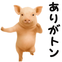 [LINEスタンプ] 踊る！ブタ