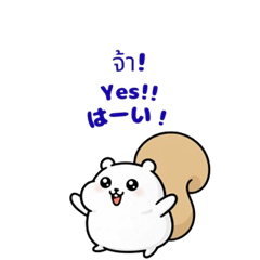 [LINEスタンプ] 毎日使える！もっちリス君スタンプ(多言語)