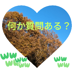 [LINEスタンプ] 信号が赤に変わって 大好きな日常挨拶