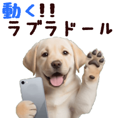 [LINEスタンプ] 動く！ラブラドールレトリバー