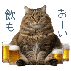 [LINEスタンプ] 酒クズねこ【面白い・猫】