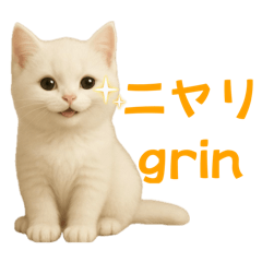 [LINEスタンプ] ネコだ！ It's a cat！