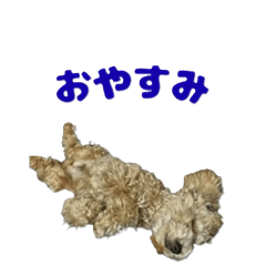 [LINEスタンプ] 毎日使える！パピーくんスタンプ