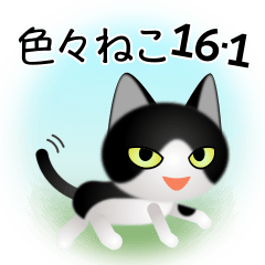 [LINEスタンプ] 色々な猫16-1 短毛-立ち耳-黒白