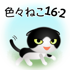 [LINEスタンプ] 色々な猫16-2 短毛-垂れ耳-黒白